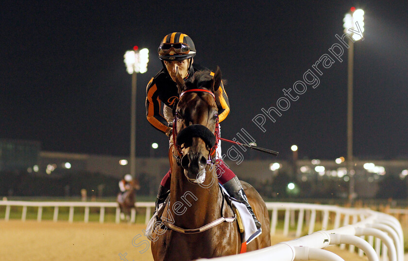 For-The-Top-0002 
 FOR THE TOP (Antonio Fresu)
Meydan 4 Feb 2022 - Pic Steven Cargill / Racingfotos.com