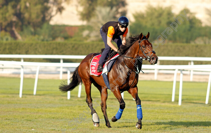 Lead-Artist-0001 
 LEAD ARTIST training for the Bahrain International Trophy
Kingdom of Bahrain 13 Nov 2024 - Pic Steven Cargill / Racingfotos.com