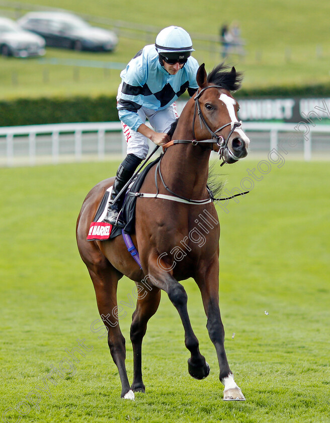 Swayze-0001 
 SWAYZE (Tom Marquand)
Goodwood 28 Jul 2021 - Pic Steven Cargill / Racingfotos.com