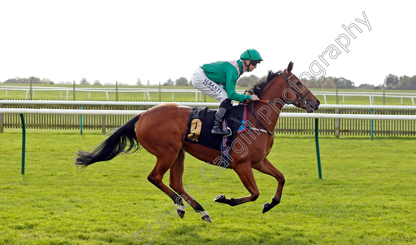 You re-On-Mute 
 YOU'RE ON MUTE (Jack Mitchell)
Newmarket 20 Oct 2021 - Pic Steven Cargill / Racingfotos.com