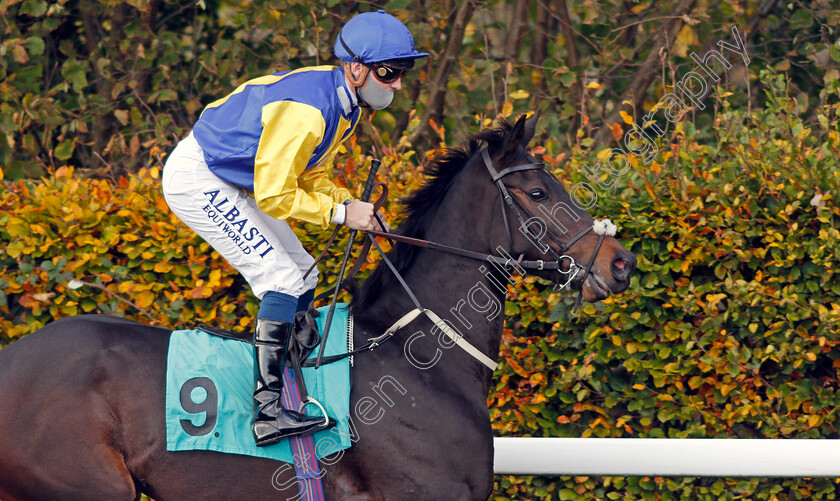 Lake-Sand-0001 
 LAKE SAND (Kevin Stott)
Kempton 2 Nov 2020 - Pic Steven Cargill / Racingfotos.com