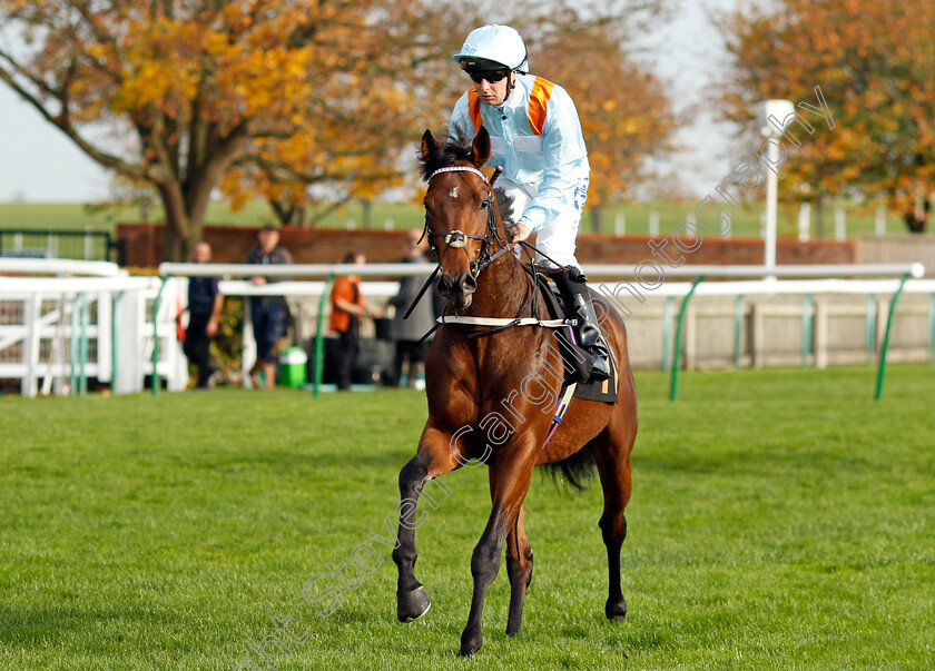 Roll-It-In-Glitter-0001 
 ROLL IT IN GLITTER (Connor Beasley)
Newmarket 29 Oct 2022 - Pic Steven Cargill / Racingfotos.com