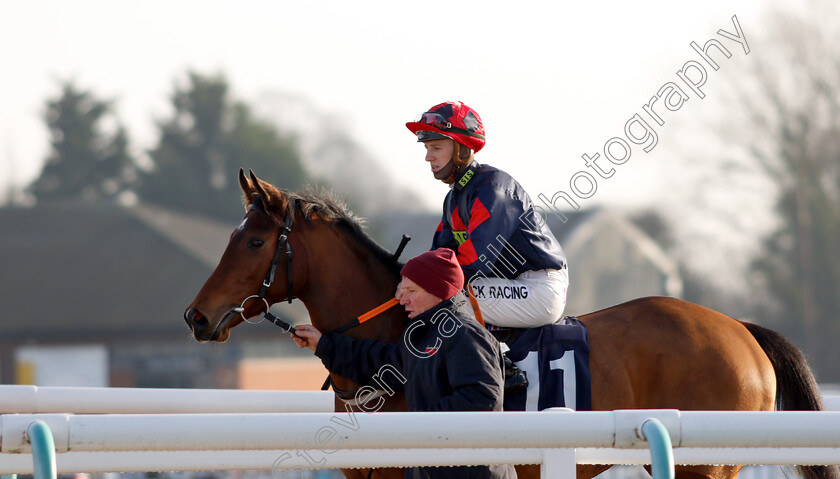 Lexikon-0001 
 LEXIKON (Jamie Gormley)
Southwell 11 Dec 2018 - Pic Steven Cargill / Racingfotos.com