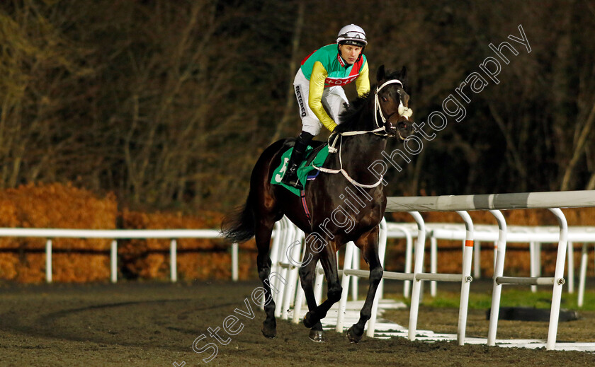 Blanchland-0002 
 BLANCHLAND (Richard Kingscote)
Kempton 13 Dec 2023 - Pic Steven Cargill / Racingfotos.com