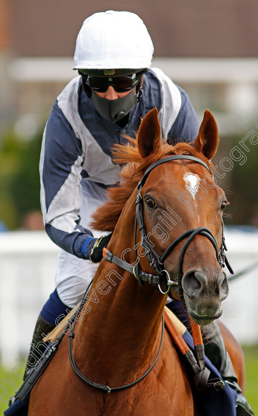 Law-Of-One-0001 
 LAW OF ONE (Jim Crowley)
Lingfield 2 Sep 2020 - Pic Steven Cargill / Racingfotos.com