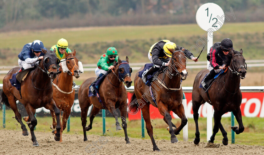 Diligent-Lady-0002 
 DILIGENT LADY (2nd right, Rossa Ryan) beats ONE HART (right) and STRONG POWER (left) in The Betway Handicap
Lingfield 6 Feb 2021 - Pic Steven Cargill / Racingfotos.com