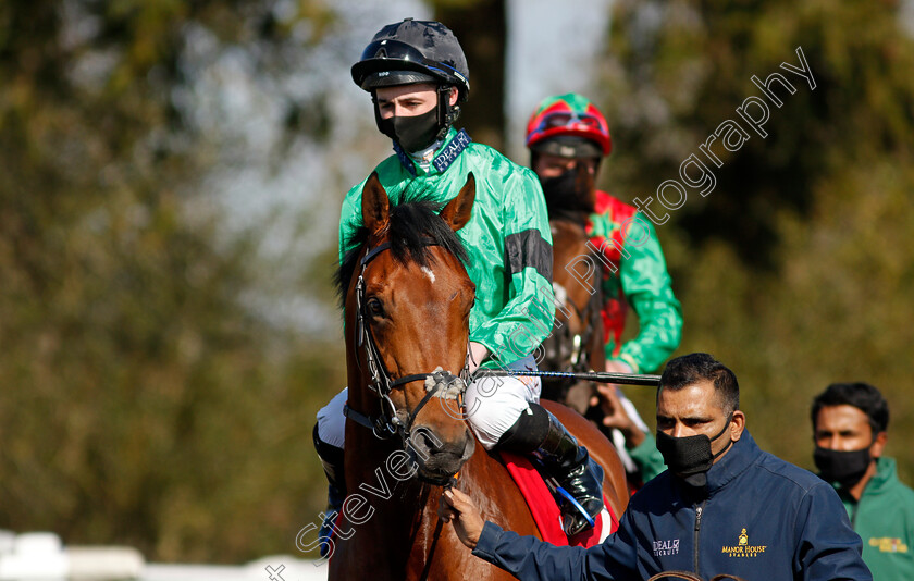 Bakersboy-0001 
 BAKERSBOY (Rossa Ryan)
Lingfield 2 Apr 2021 - Pic Steven Cargill / Racingfotos.com