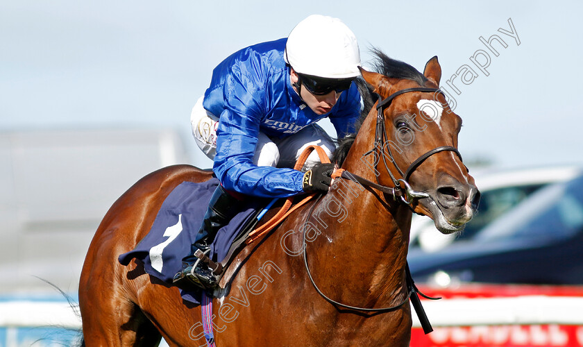 Midnight-Thunder-0002 
 MIDNIGHT THUNDER (Oisin Murphy) wins The British Stallion Studs EBF Novice Stakes
Yarmouth 17 Sep 2024 - Pic Steven Cargill / Racingfotos.com