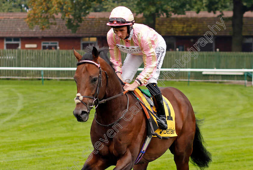 Cicero s-Gift-0001 
 CICERO'S GIFT (Rossa Ryan)
Haydock 7 Sep 2024 - Pic Steven Cargill / Racingfotos.com