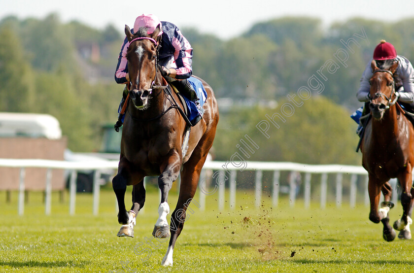 Spirit-Of-Bermuda-0011 
 SPIRIT OF BERMUDA (Tom Marquand) wins The Follow Us On Twitter @leicesterraces Fillies Handicap
Leicester 1 Jun 2021 - Pic Steven Cargill / Racingfotos.com