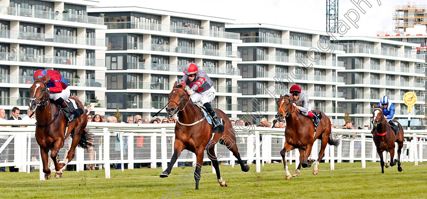 White-Mocha-0001 
 WHITE MOCHA (left, James Doyle) beats KNIGHT TO BEHOLD (2nd left) in The Haynes Hanson & Clark Stakes Newbury 22 Sep 2017 - Pic Steven Cargill / Racingfotos.com