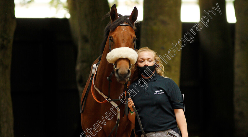 Tudor-Queen-0002 
 TUDOR QUEEN
Newmarket 26 Jun 2021 - Pic Steven Cargill / Racingfotos.com