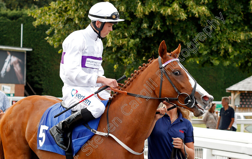 She-Looks-Like-Fun-0001 
 SHE LOOKS LIKE FUN (Clifford Lee)
Nottingham 16 Jul 2019 - Pic Steven Cargill / Racingfotos.com