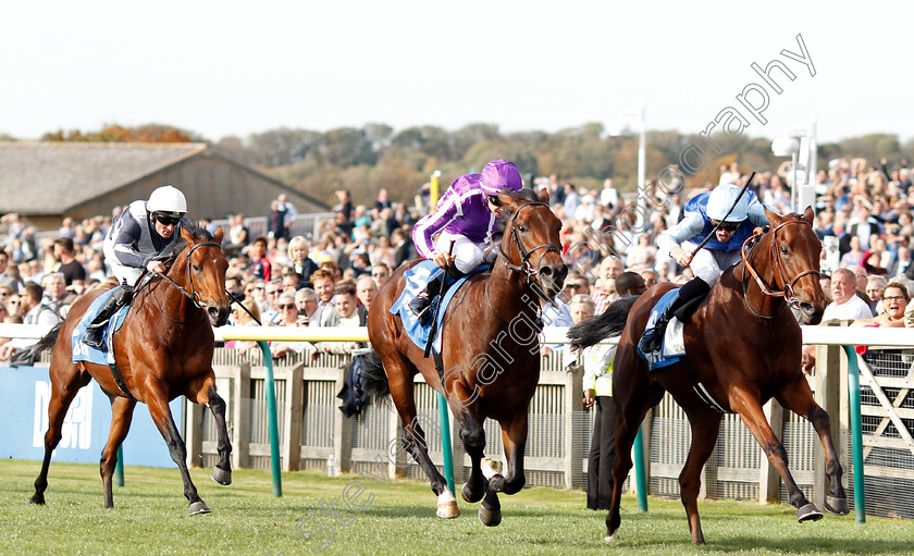 Persian-King-0006 
 PERSIAN KING (Pierre-Charles Boudot) beats MAGNA GRECIA (centre) in The Masar Godolphin Autumn Stakes
Newmarket 13 Oct 2018 - Pic Steven Cargill / Racingfotos.com