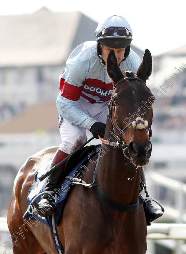 Lalor-0003 
 LALOR (Richard Johnson)
Aintree 6 Apr 2019 - Pic Steven Cargill / Racingfotos.com