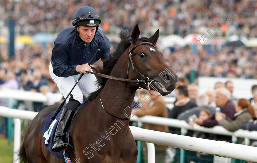 Cardini-0001 
 CARDINI (Seamie Heffernan)
Newmarket 15 Sep 2018 - Pic Steven Cargill / Racingfotos.com