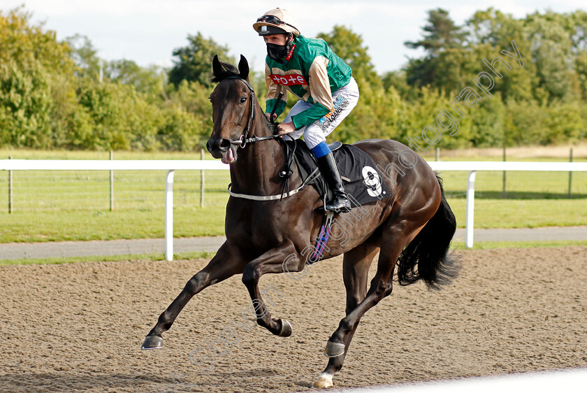 Sparkling-Perry-0001 
 SPARKLING PERRY (James Sullivan)
Chelmsford 22 Aug 2020 - Pic Steven Cargill / Racingfotos.com