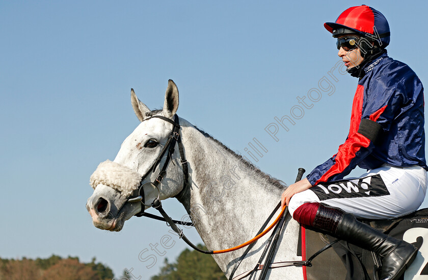 Ripper-Roo-0005 
 RIPPER ROO (Aidan Coleman) before winning The Mansionbet App Maiden Hurdle
Market Rasen 19 Apr 2021 - Pic Steven Cargill / Racingfotos.com