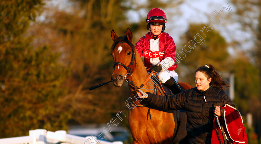 English-Spirit-0001 
 ENGLISH SPIRIT (Mollie Phillips)
Lingfield 21 Jan 2023 - Pic Steven Cargill / Racingfotos.com