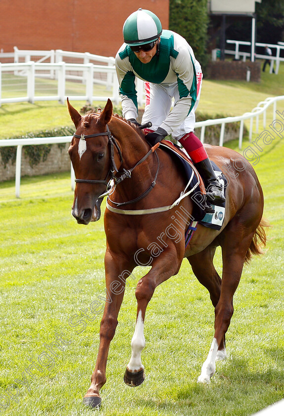 Walk-In-Marrakesh-0002 
 WALK IN MARRAKESH (Frankie Dettori) before winning The British Stallion Studs EBF Star Stakes
Sandown 25 Jul 2019 - Pic Steven Cargill / Racingfotos.com