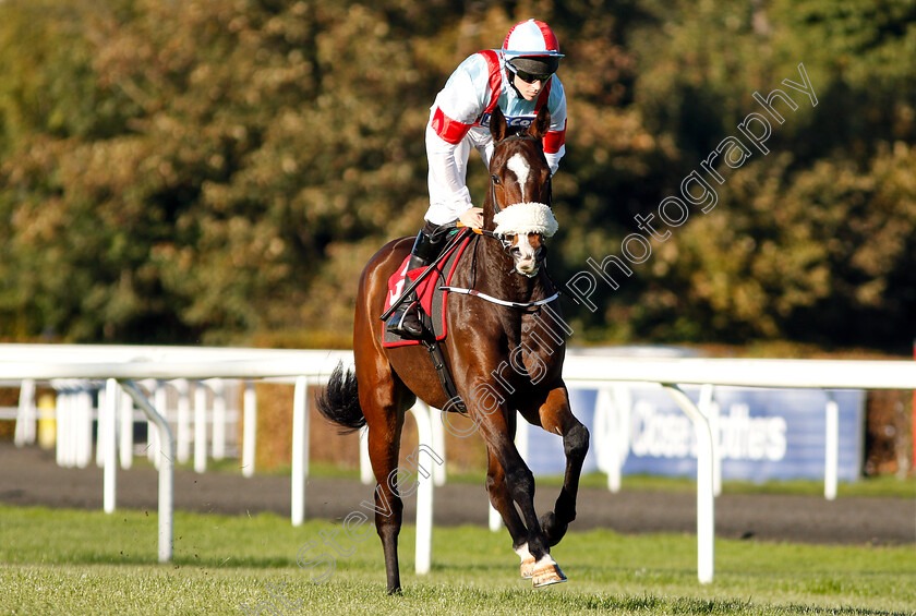 Itchy-Feet-0001 
 ITCHY FEET (Gavin Sheehan) before winning The Matchbok Time To Move Over Novices Hurdle
Kempton 21 Oct 2018 - Pic Steven Cargill / Racingfotos.com