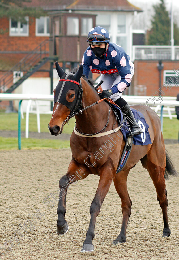 Mr-Moneypenny-0001 
 MR MONEYPENNY (Theodore Ladd)
Lingfield 6 Feb 2021 - Pic Steven Cargill / Racingfotos.com