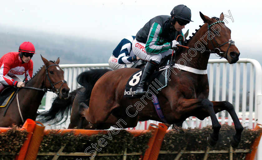 Pym-0001 
 PYM (Noel Fehily)
Cheltenham 16 Nov 2018 - Pic Steven Cargill / Racingfotos.com