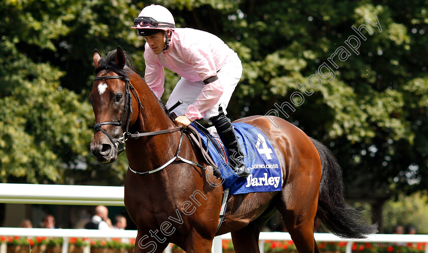 Intelligence-Cross-0001 
 INTELLIGENCE CROSS (Padraig Beggy)
Newmarket 14 Jul 2018 - Pic Steven Cargill / Racingfotos.com