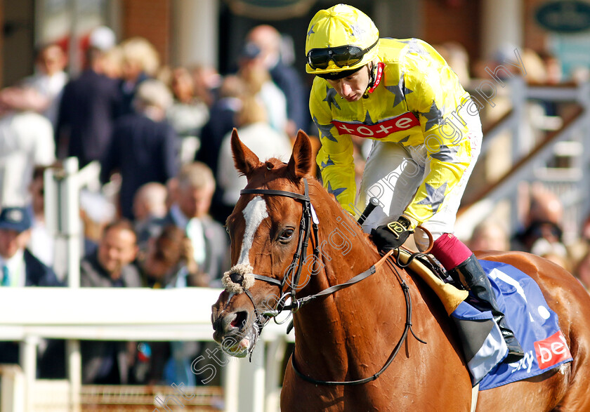 Relentless-Voyager-0001 
 RELENTLESS VOYAGER (Oisin Murphy)
York 24 Aug 2024 - Pic Steven Cargill / Racingfotos.com