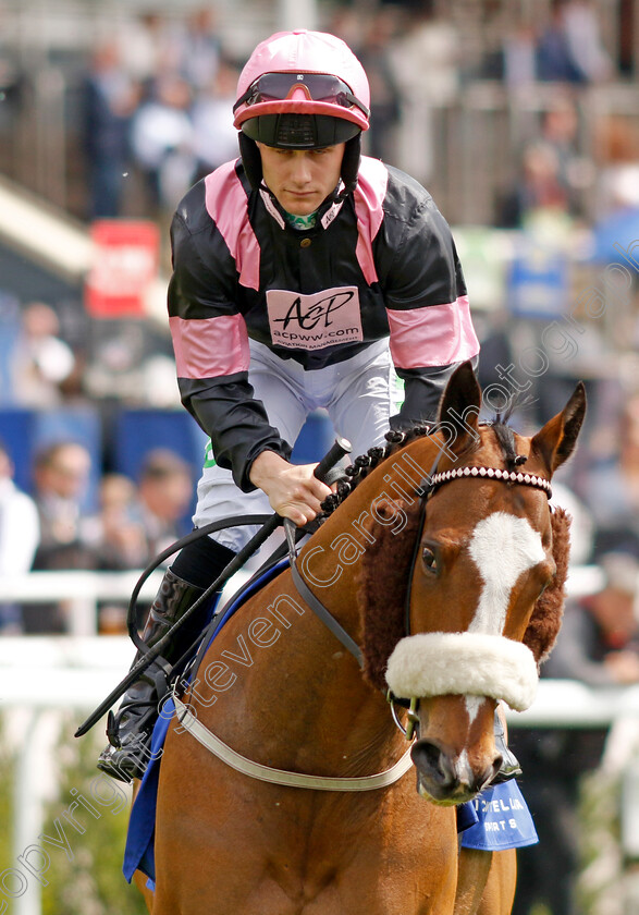 Look-Out-Louis-0001 
 LOOK OUT LOUIS (Jason Hart) winner of The ICM Stellar Sports Handicap
Chester 5 May 2022 - Pic Steven Cargill / Racingfotos.com