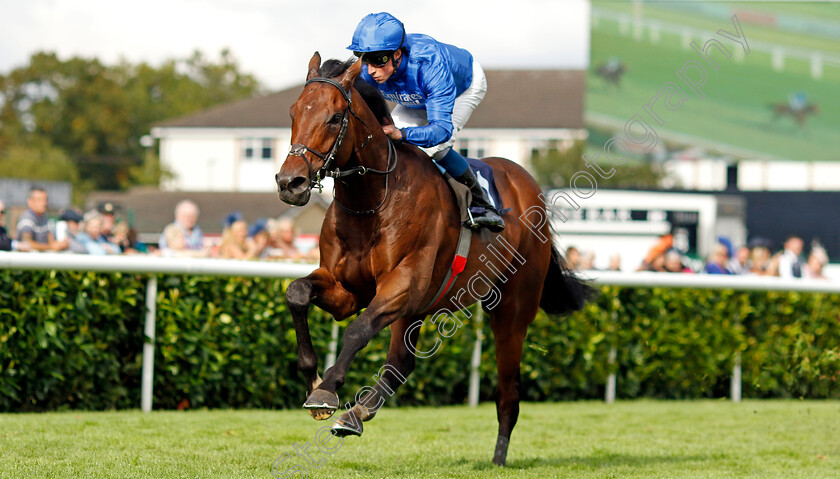 Adayar-0003 
 ADAYAR (William Buick) wins The Hilton Garden Inn Doncaster Conditions Stakes
Doncaster 8 Sep 2022 - Pic Steven Cargill / Racingfotos.com