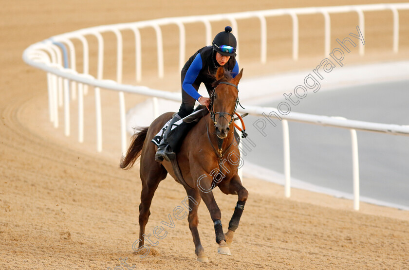 Geologist-0004 
 GEOLOGIST training at the Dubai Racing Carnival
Meydan 1 Mar 2024 - Pic Steven Cargill / Racingfotos.com