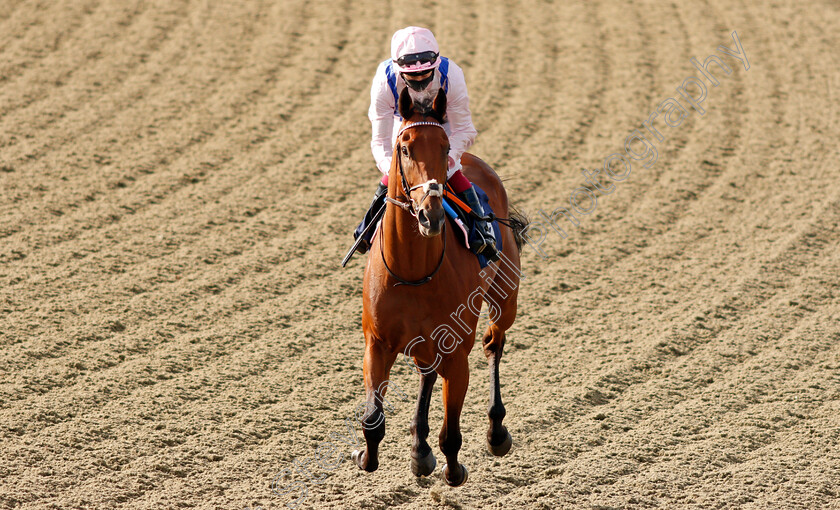 Summit-Fever-0002 
 SUMMIT FEVER (Oisin Murphy) winner of The Betway Maiden Stakes
Lingfield 5 Aug 2020 - Pic Steven Cargill / Racingfotos.com