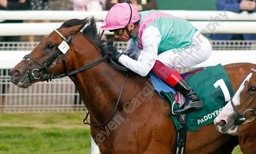 Samburu-0005 
 SAMBURU (Frankie Dettori) wins The Paddy Power Here For The Craic Handicap
York 11 May 2022 - Pic Steven Cargill / Racingfotos.com