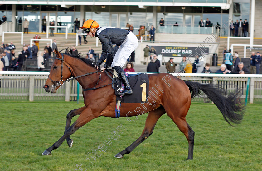 Arion 
 ARION (James Doyle)
Newmarket 30 Oct 2021 - Pic Steven Cargill / Racingfotos.com