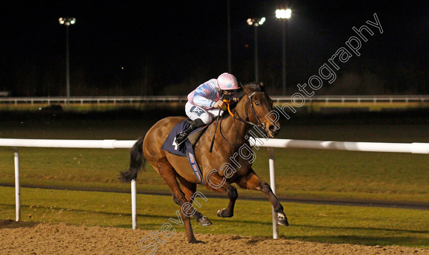 Jumira-Bridge-0003 
 JUMIRA BRIDGE (Lewis Edmunds) wins The Play 4 To Win At Betway Handicap Div2
Wolverhampton 18 Jan 2021 - Pic Steven Cargill / Racingfotos.com