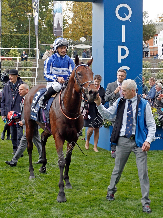 Donjuan-Triumphant-0012 
 DONJUAN TRIUMPHANT (Silvestre De Sousa) after The Qipco British Champions Sprint Stakes
Ascot 19 Act 2019 - Pic Steven Cargill / Racingfotos.com