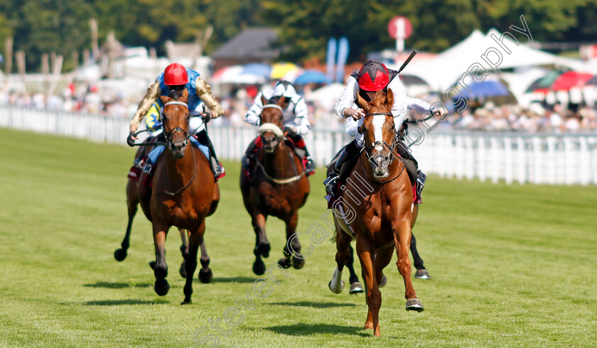 Kyprios-0005 
 KYPRIOS (Ryan Moore) wins The Al Shaqab Goodwood Cup
Goodwood 30 Jul 2024 - Pic Steven Cargill / racingfotos.com