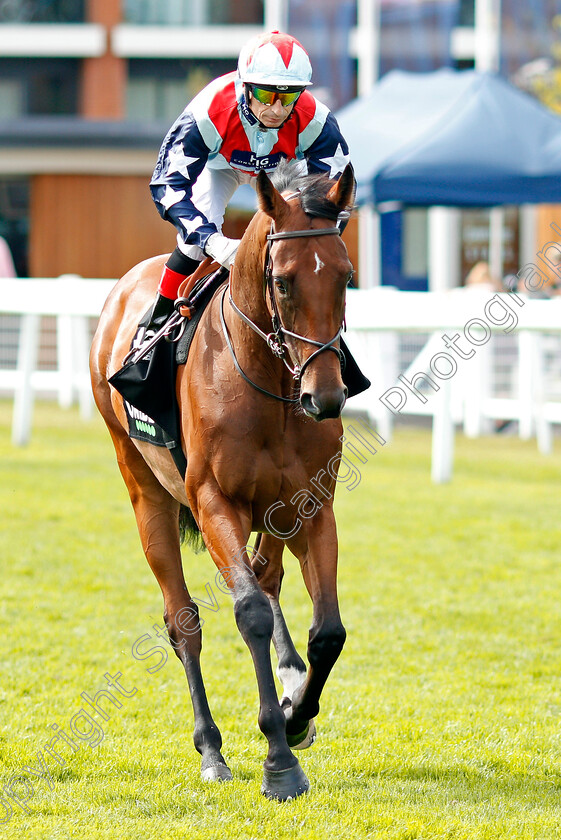 Sir-Dancealot-0001 
 SIR DANCEALOT (Gerald Mosse)
Newbury 17 Aug 2019 - Pic Steven Cargill / Racingfotos.com