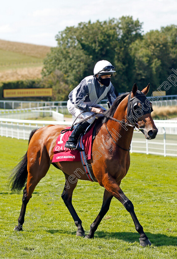 Circus-Maximus-0001 
 CIRCUS MAXIMUS (Ryan Moore)
Goodwood 29 Jul 2020 - Pic Steven Cargill / Racingfotos.com