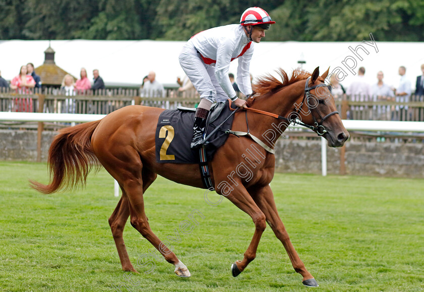 Behind-The-Scenes-0001 
 BEHIND THE SCENES (Tom Queally)
Newmarket 30 Jun 2023 - Pic Steven Cargill / Racingfotos.com