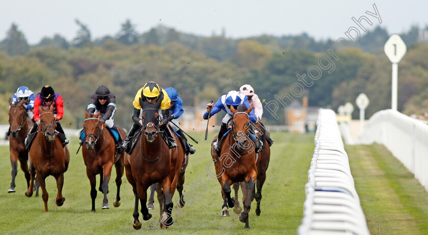 Bless-Him-0004 
 BLESS HIM (centre, Jamie Spencer) beats LORD NORTH (right) in The Lexicon Bracknell Handicap
Ascot 6 Sep 2019 - Pic Steven Cargill / Racingfotos.com