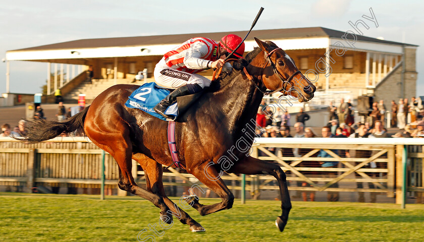 Chain-Of-Daisies-0003 
 CHAIN OF DAISIES (Harry Bentley) wins The Join Club Godolphin Pride Stakes Newmarket 13 Oct 2017 - Pic Steven Cargill / Racingfotos.com