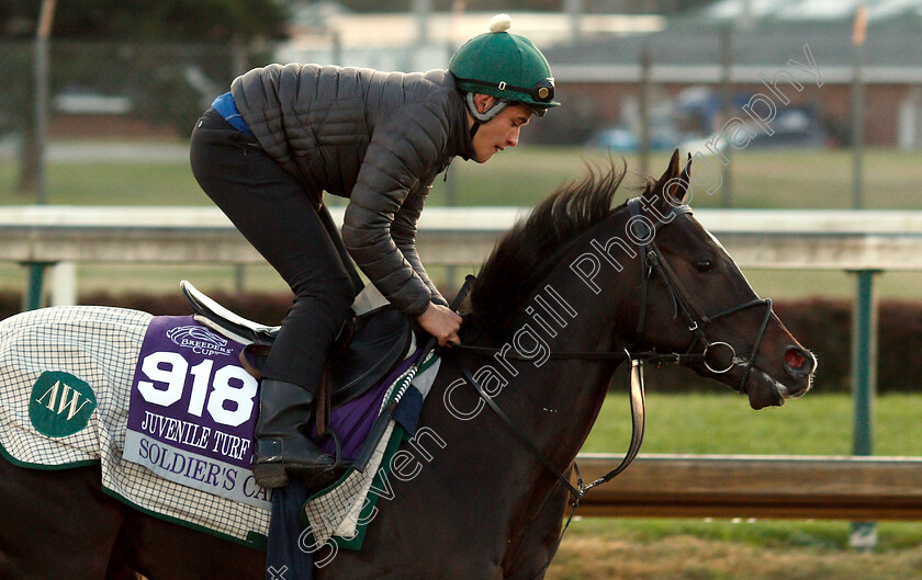 Soldier s-Call-0002 
 SOLDIER'S CALL exercising ahead of The Breeders' Cup Juvenile Turf Sprint
Churchill Downs USA 29 Oct 2018 - Pic Steven Cargill / Racingfotos.com