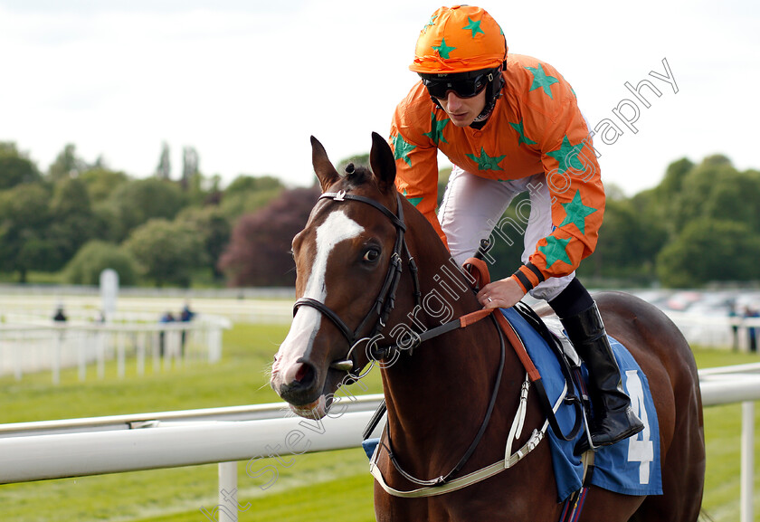 I-Am-A-Dreamer-0001 
 I AM A DREAMER (P J McDonald) winner of The Staratford Place Stud Breeds Group Winners EBFstallions.com Maiden Stakes
York 17 May 2018 - Pic Steven Cargill / Racingfotos.com