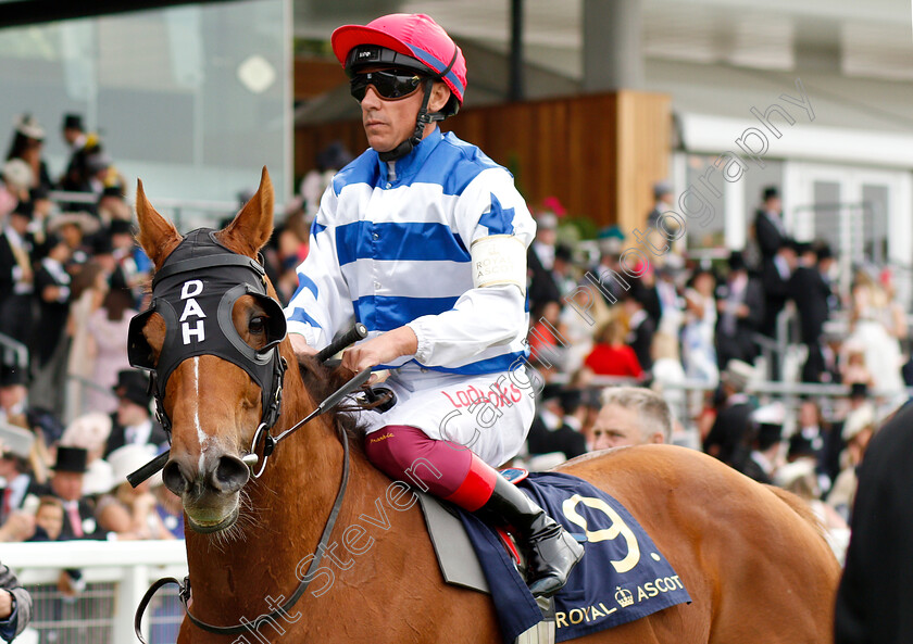 Redkirk-Warrior-0001 
 REDKIRK WARRIOR (Frankie Dettori) after The Diamond Jubilee Stakes
Royal Ascot 23 Jun 2018 - Pic Steven Cargill / Racingfotos.com