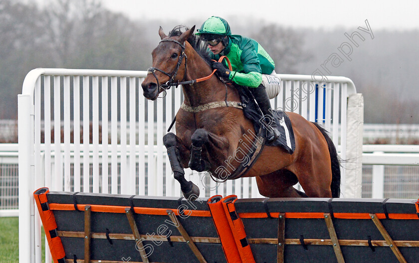 Hecouldbetheone 
 HECOULDBETHEONE (Niall Houlihan)
Ascot 19 Feb 2022 - Pic Steven Cargill / Racingfotos.com