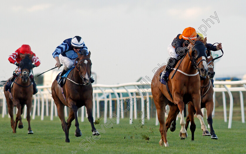 Elsie-Violet-0001 
 ELSIE VIOLET (Selma Grage) wins The Final Furlong Podcast Handicap
Yarmouth 25 Aug 2020 - Pic Steven Cargill / Racingfotos.com