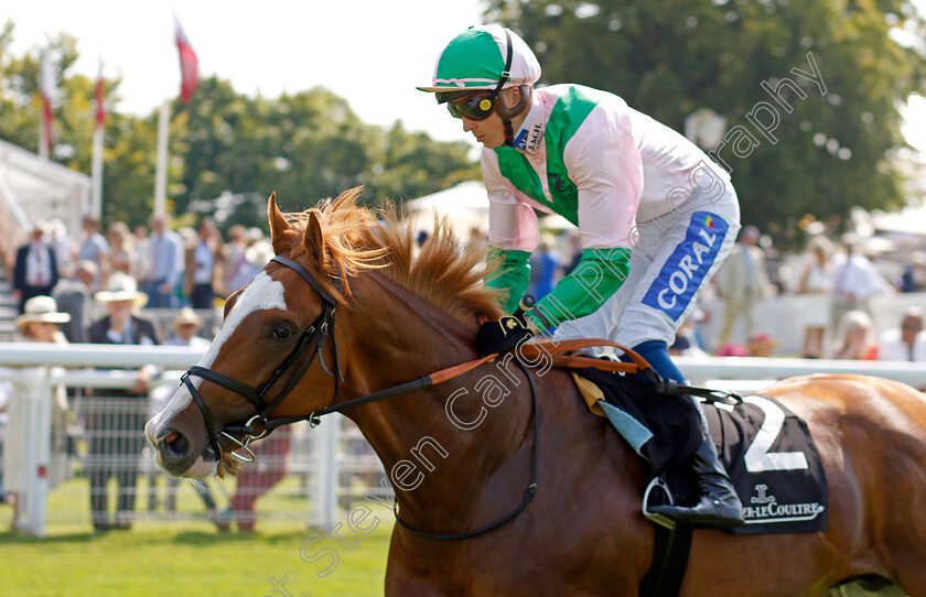 Arran-0001 
 ARRAN (David Probert)
Goodwood 31 Jul 2024 - Pic Steven Cargill / Racingfotos.com