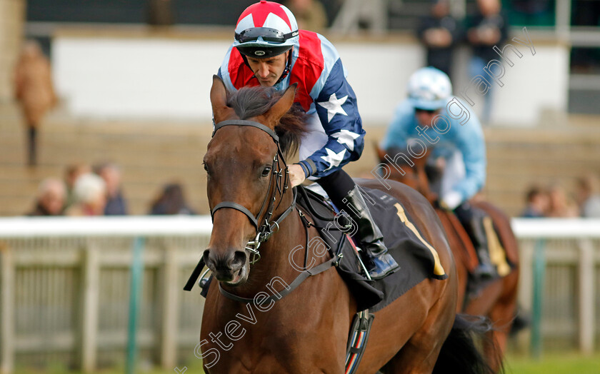 Bravo-Two-Zero-0001 
 BRAVO TWO ZERO (Neil Callan)
Newmarket 25 Oct 2023 - Pic Steven Cargill / Racingfotos.com